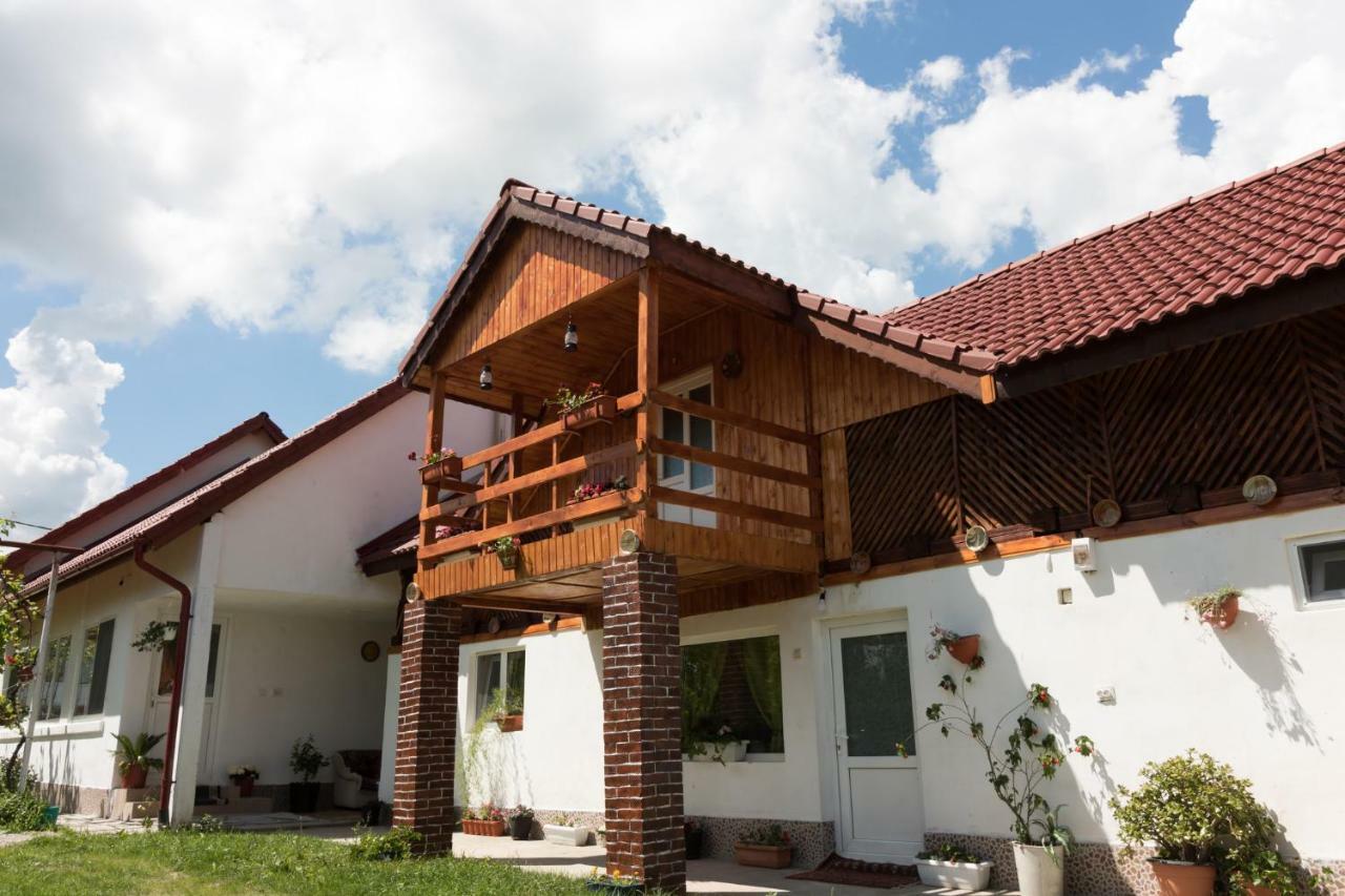 Casa De Vacanta Marya Baia de Fier Exterior photo